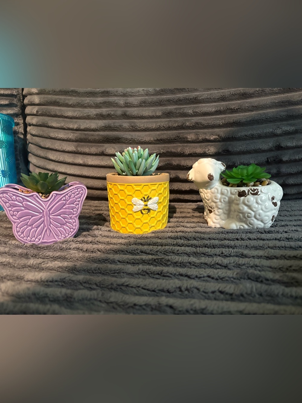 Ceramic Succulent Planter Bundle